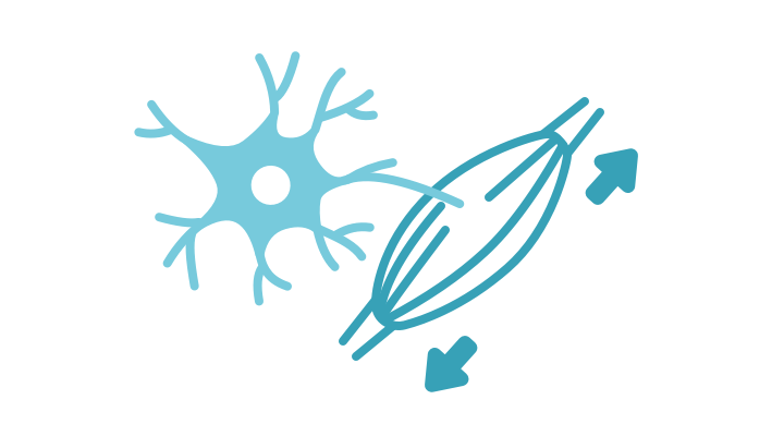 Eccentric Training System